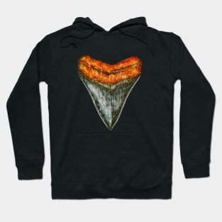 Megalodon tooth Hoodie